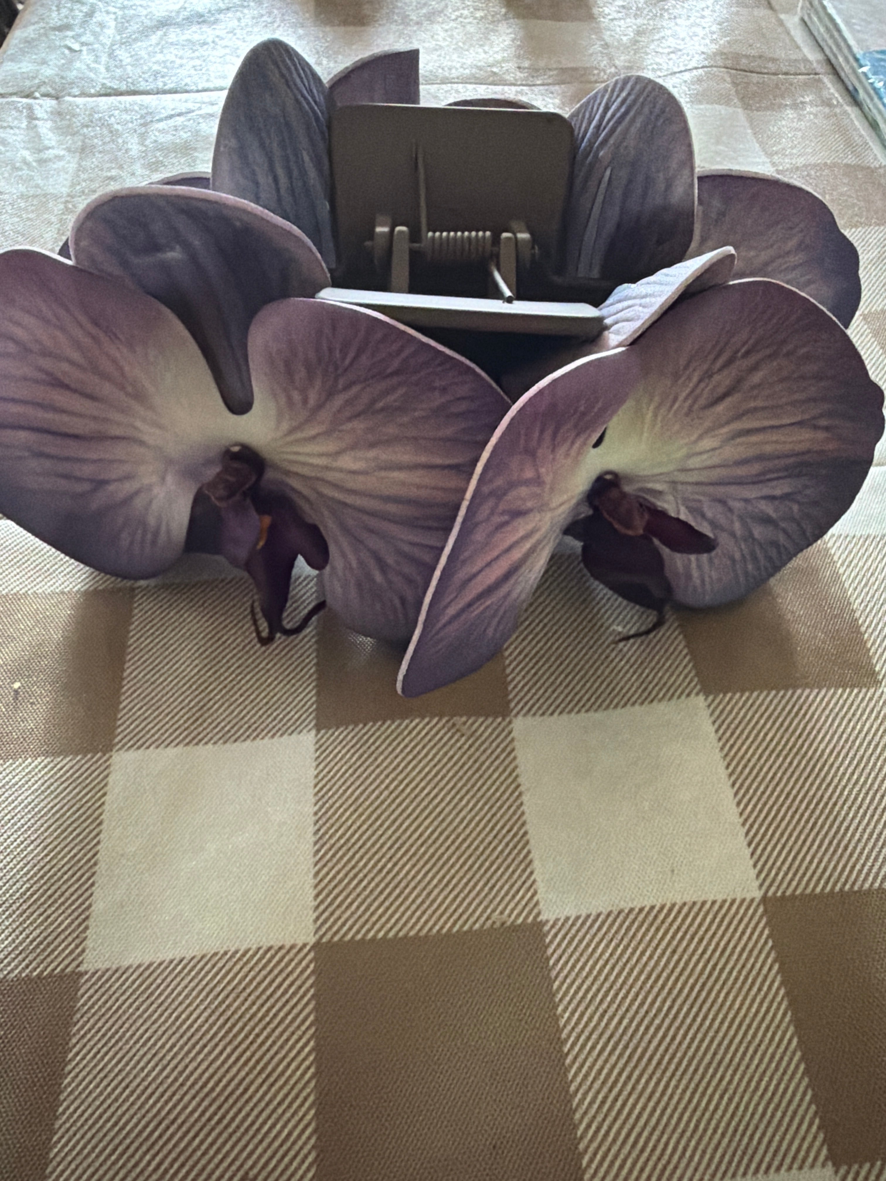 Poni Orchid Pua Hair Clip